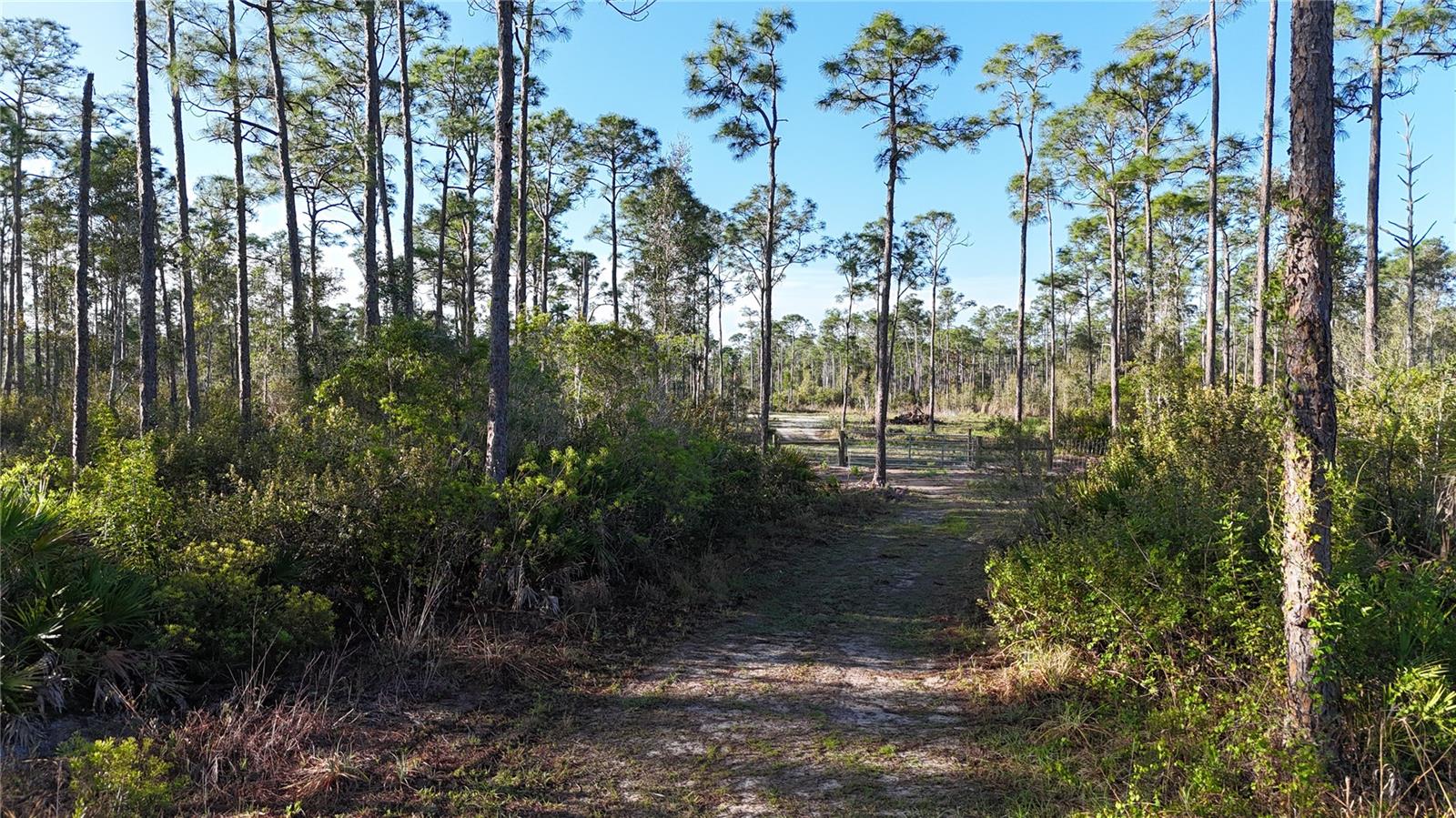 14350 BURNT STORE RD, PUNTA GORDA, FL — photo 5