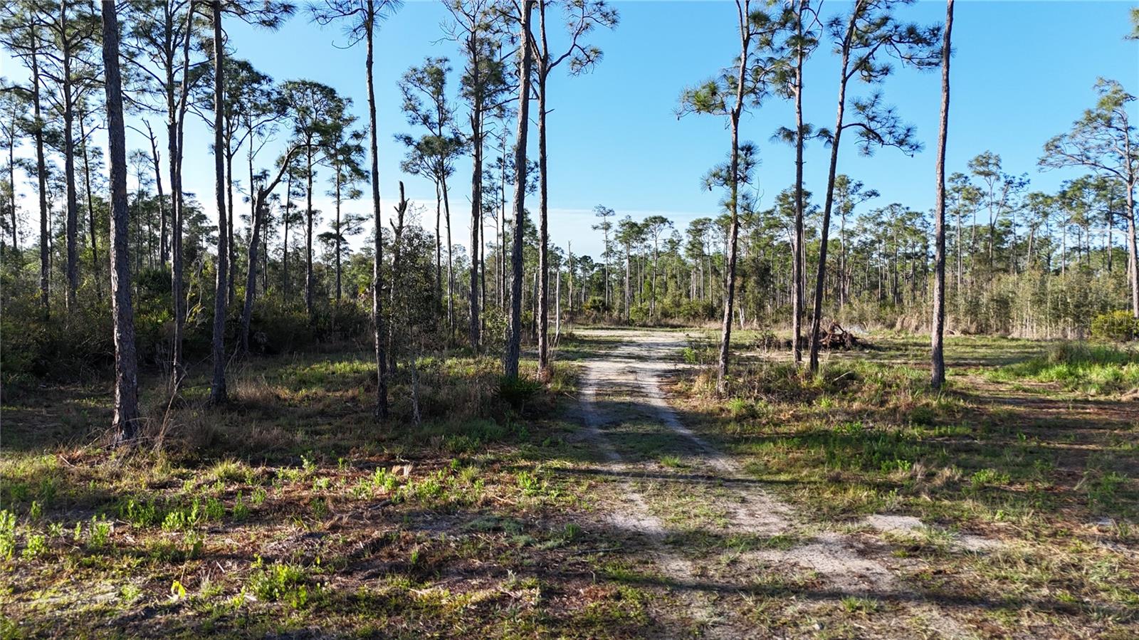 14350 BURNT STORE RD, PUNTA GORDA, FL — photo 9