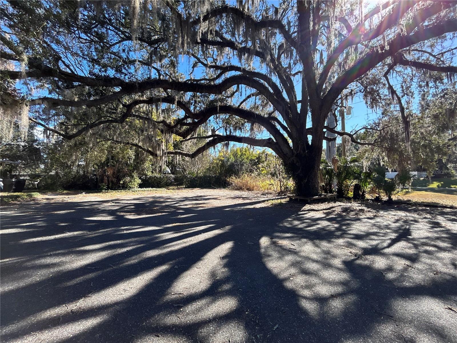 404 PERKINS ST, LEESBURG, FL — photo 8