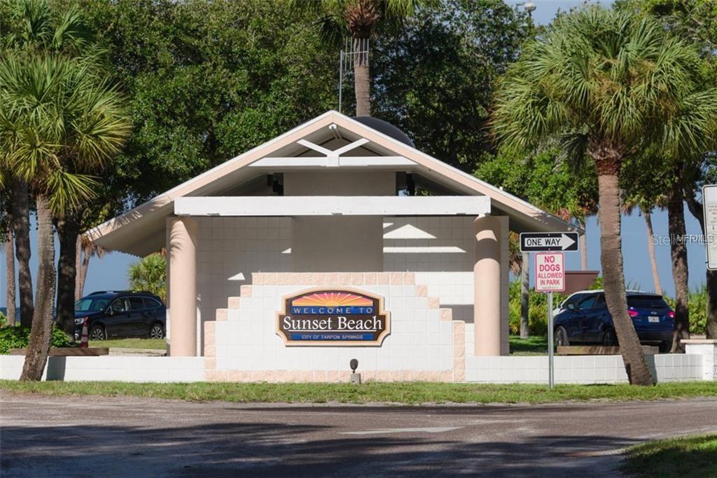 229 DIXIE, TARPON SPRINGS, FL — photo 67