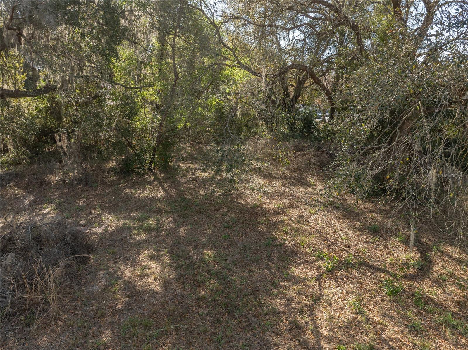 100 S OLD WIRE RD, WILDWOOD, FL — photo 9