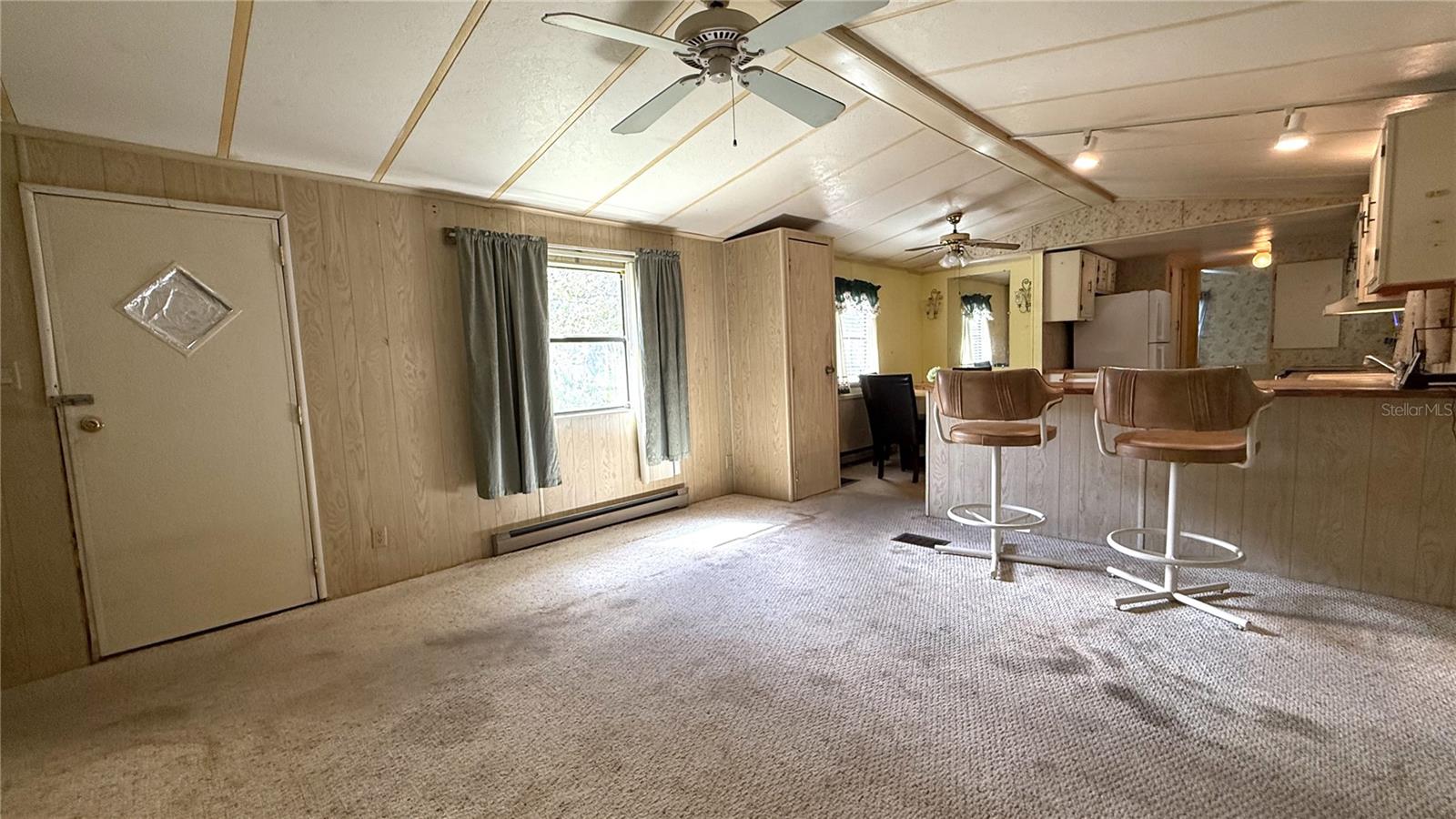 28520 HOLLY AVE, PAISLEY, FL — photo 11
