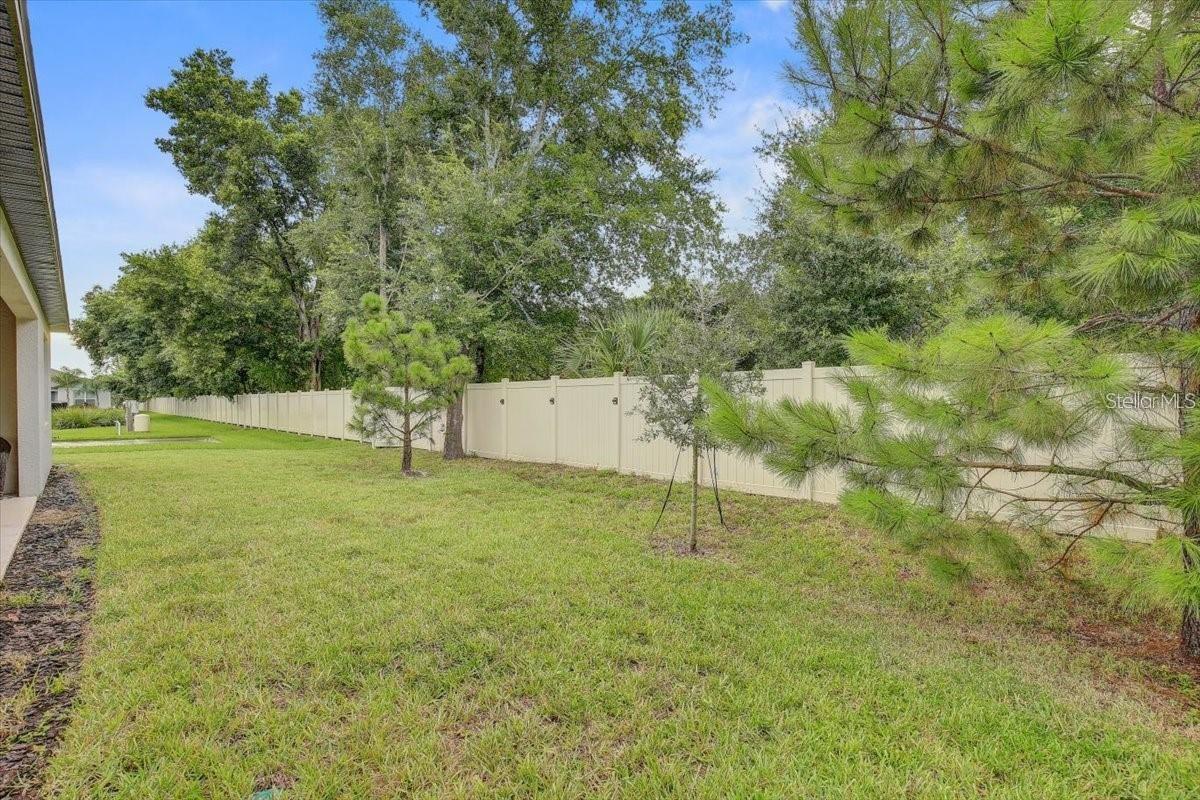 2824 QUAIL CREST CT, VALRICO, FL — photo 29