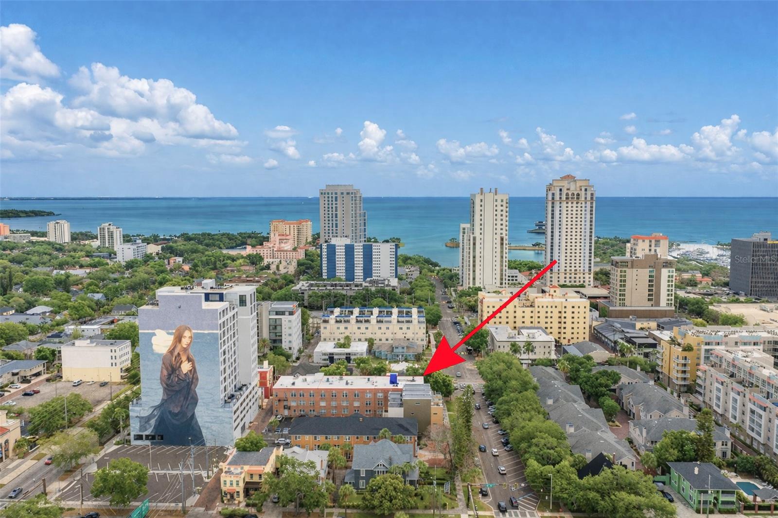 219 4TH AVE N #202, ST PETERSBURG, FL — photo 27