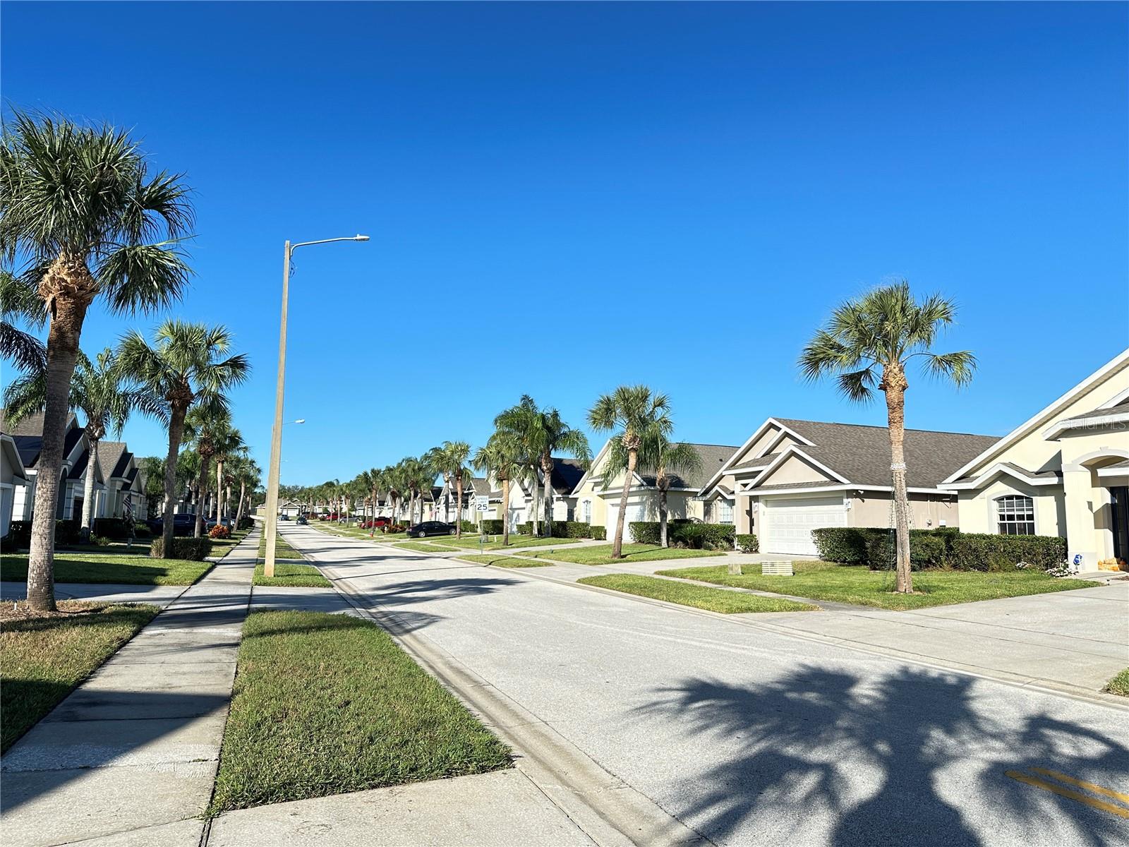16724 ROLLING GREEN DR, CLERMONT, FL — photo 5