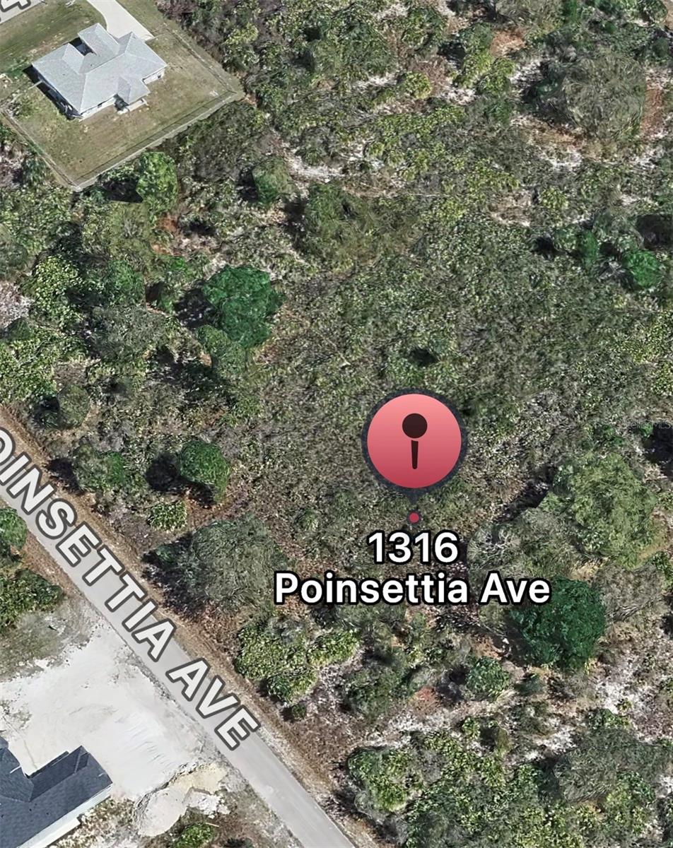 1316 POINSETTIA AVE, LEHIGH ACRES, FL — photo 2