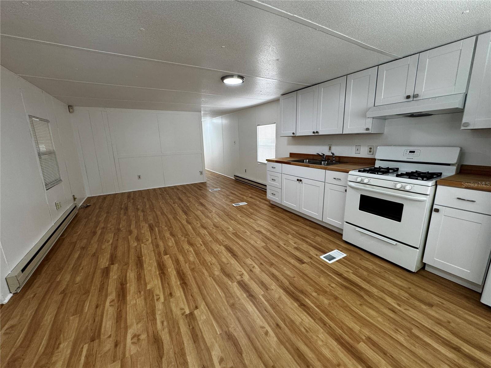 1350 COUNTY DR, TAVARES, FL — photo 12