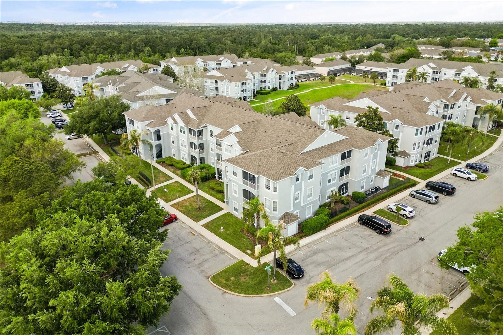 8101 COCONUT PALM WAY #205, KISSIMMEE, FL — photo 23