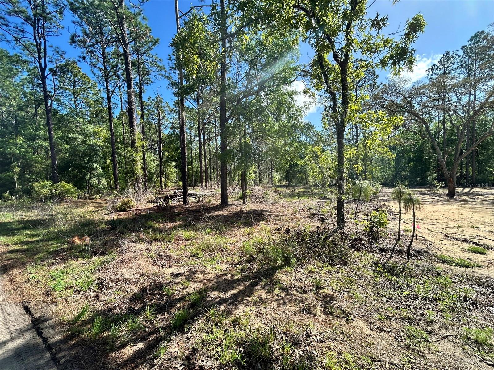 4 SW 157TH AVE #4, OCALA, FL — photo 2
