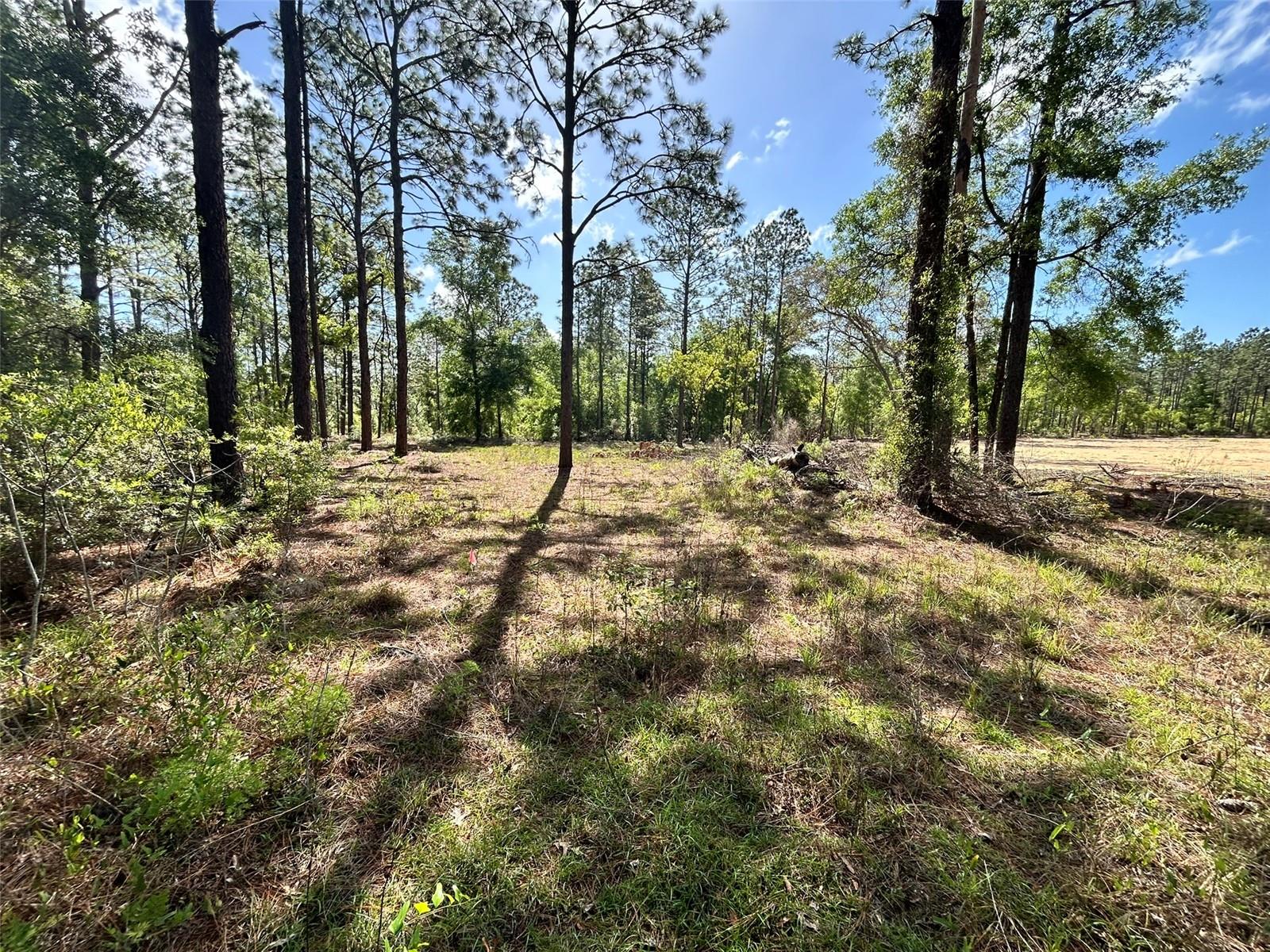 4 SW 157TH AVE #4, OCALA, FL — photo 3