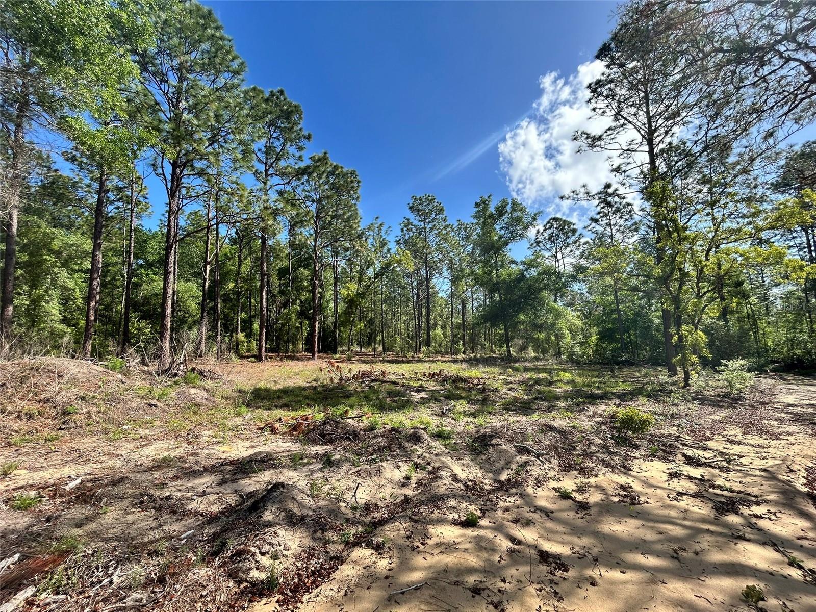 4 SW 157TH AVE #4, OCALA, FL — photo 4
