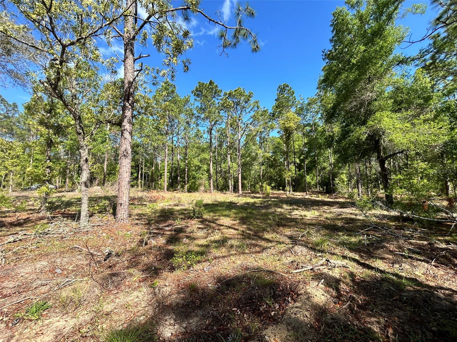 4 SW 157TH AVE #4, OCALA, FL — photo 5