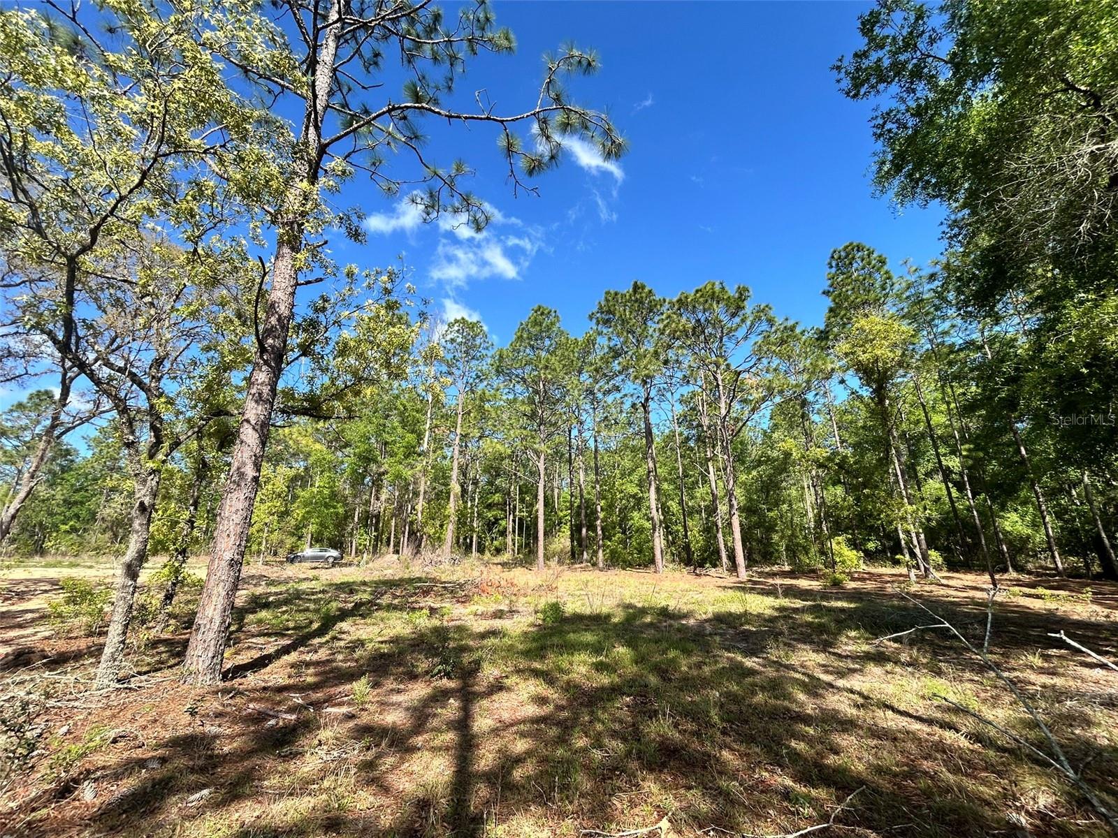 4 SW 157TH AVE #4, OCALA, FL — photo 6
