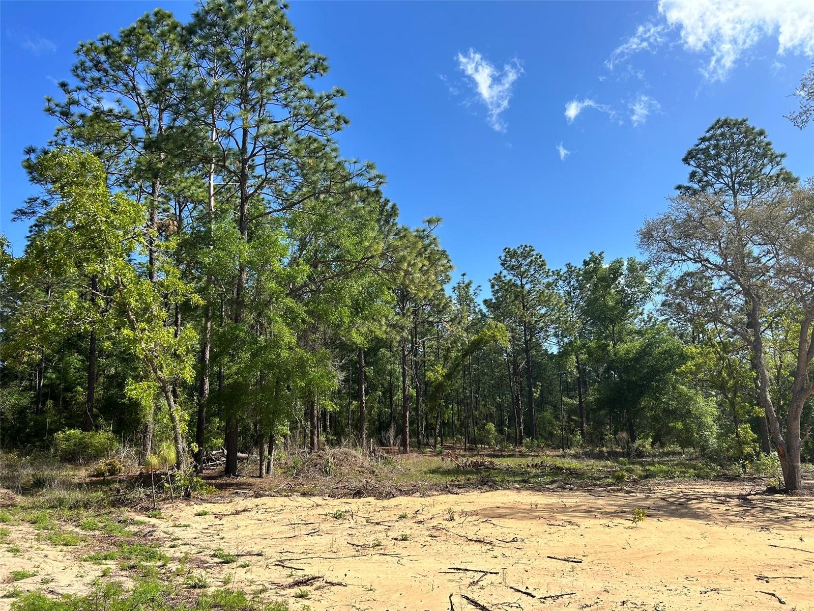4 SW 157TH AVE #4, OCALA, FL — photo 11
