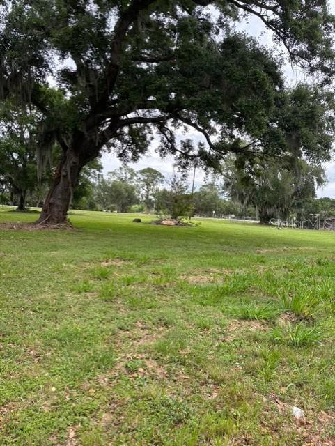 3790 AVENUE U NW, WINTER HAVEN, FL — photo 6