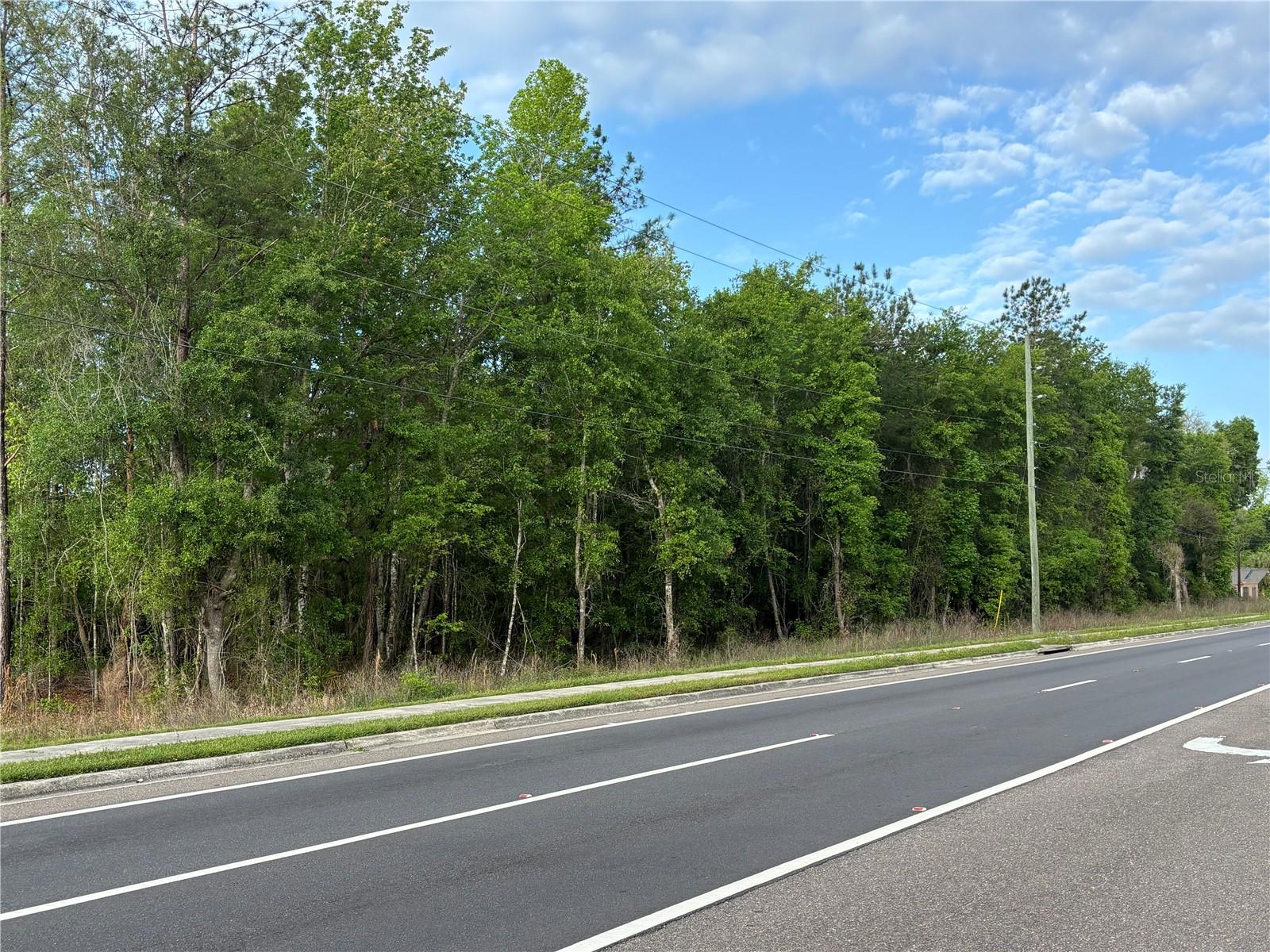 SE HAWTHORNE RD, HAWTHORNE, FL — photo 4