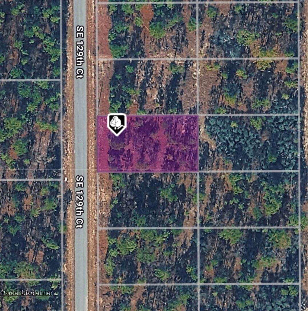 LOT 14 SE 129TH CT, DUNNELLON, FL — photo 3