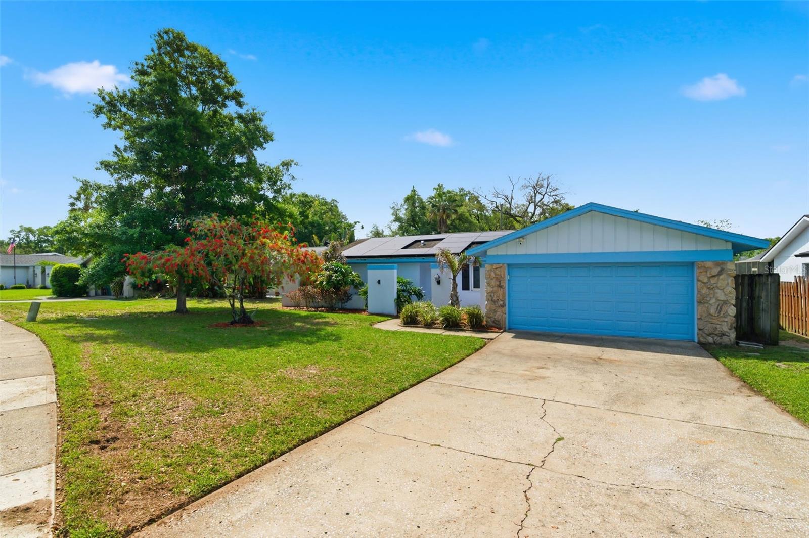 2816 RUSTIC OAKS DR, PALM HARBOR, FL — photo 3