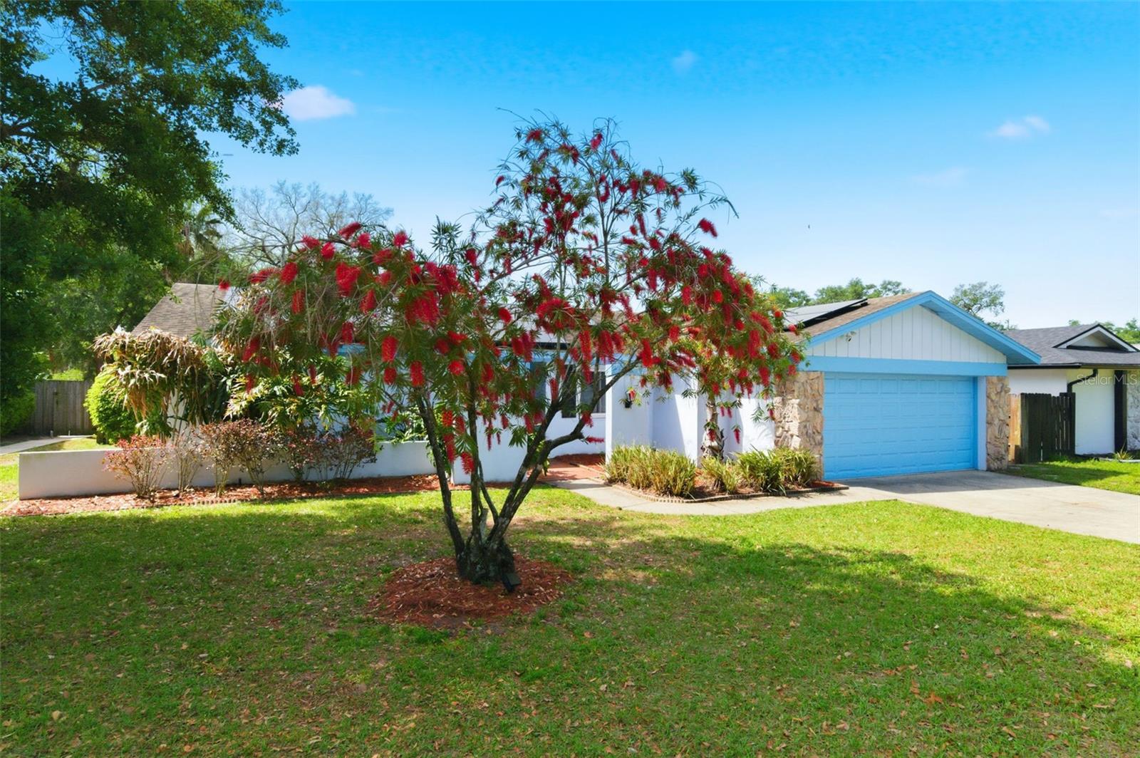 2816 RUSTIC OAKS DR, PALM HARBOR, FL — photo 6