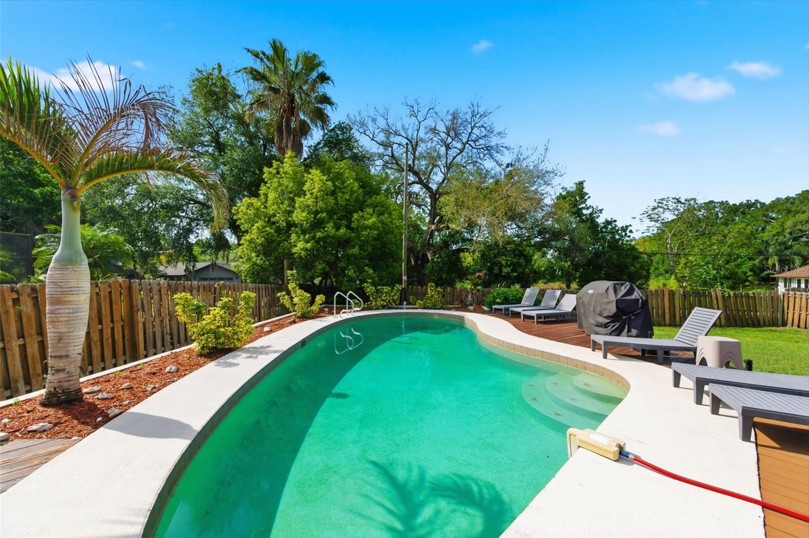 2816 RUSTIC OAKS DR, PALM HARBOR, FL — photo 47