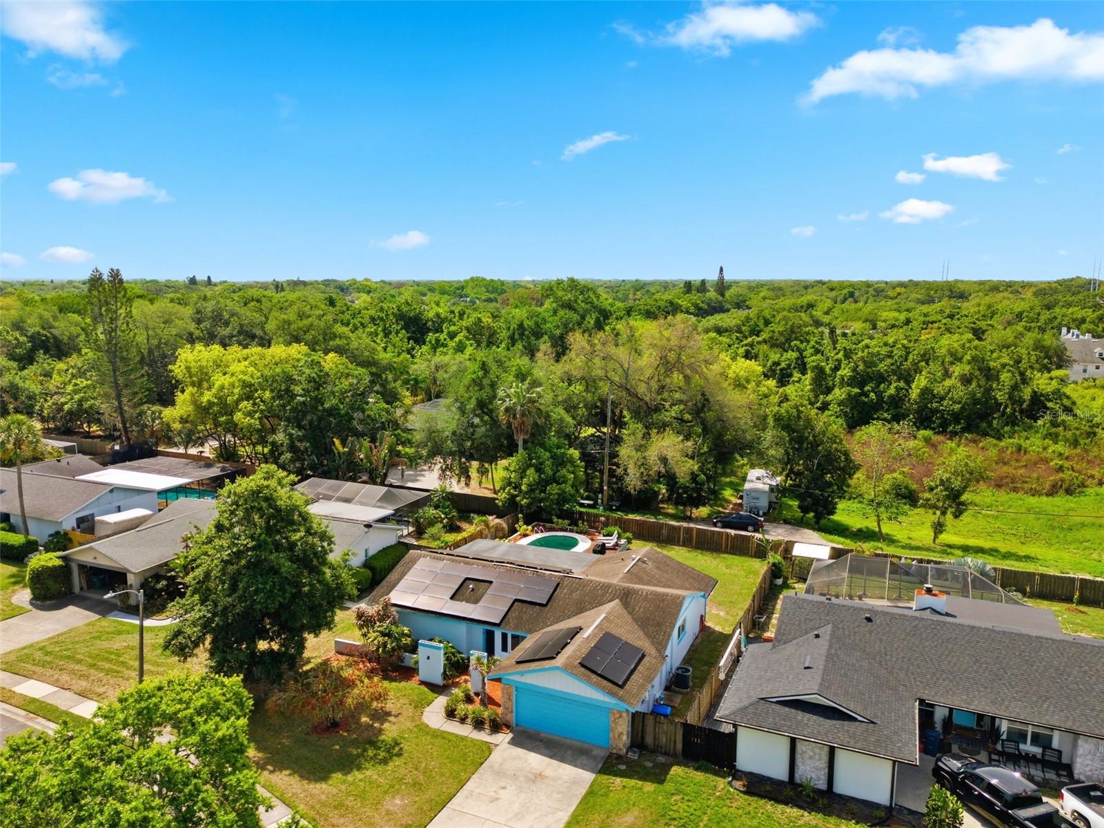 2816 RUSTIC OAKS DR, PALM HARBOR, FL — photo 57
