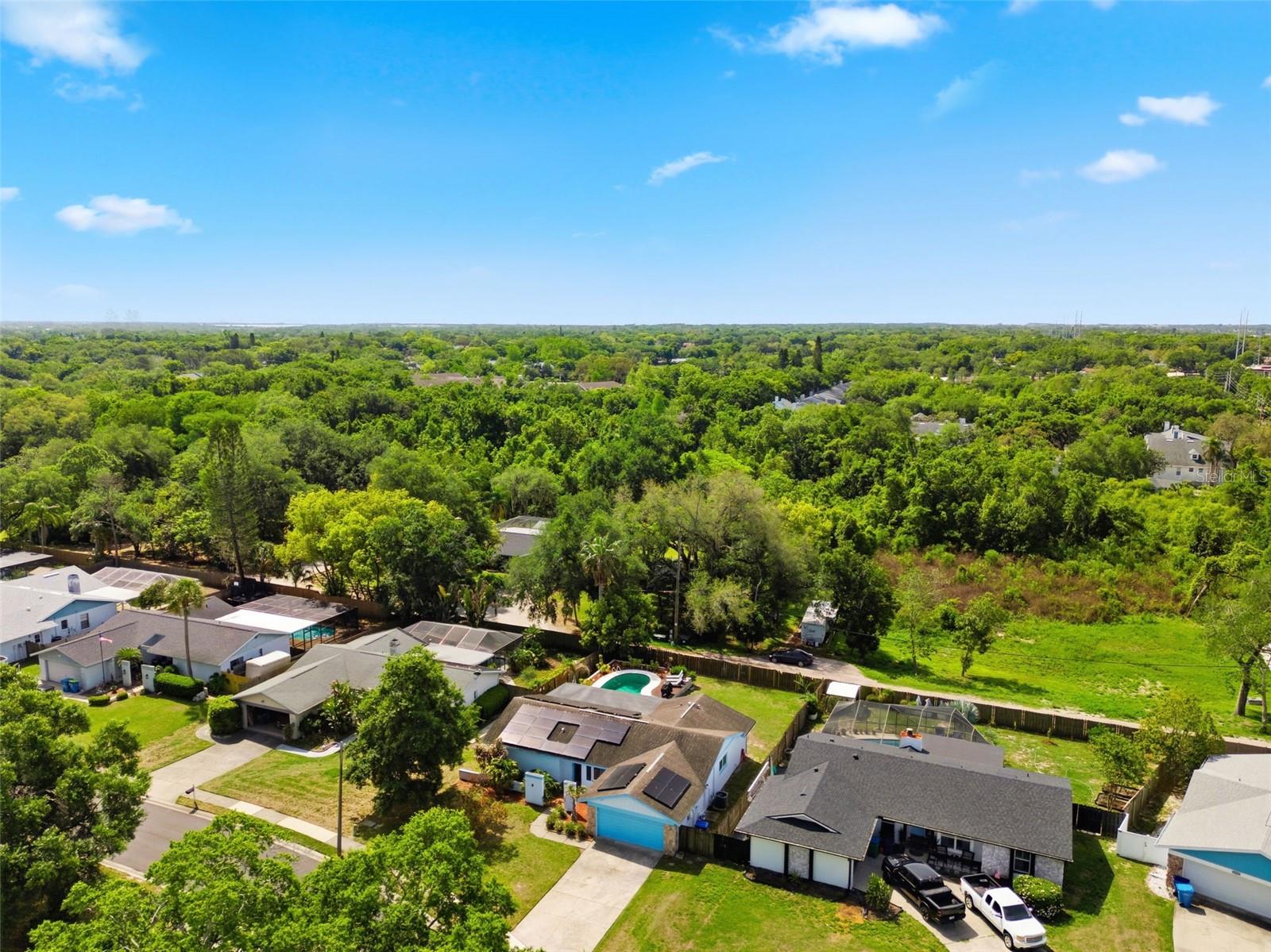 2816 RUSTIC OAKS DR, PALM HARBOR, FL — photo 58