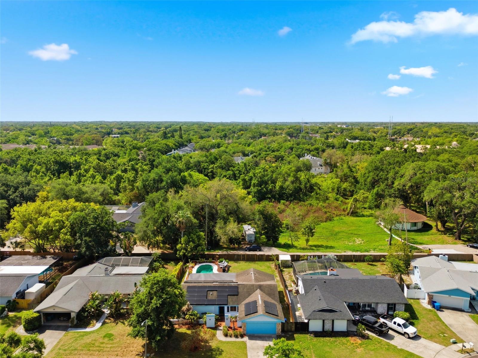 2816 RUSTIC OAKS DR, PALM HARBOR, FL — photo 59