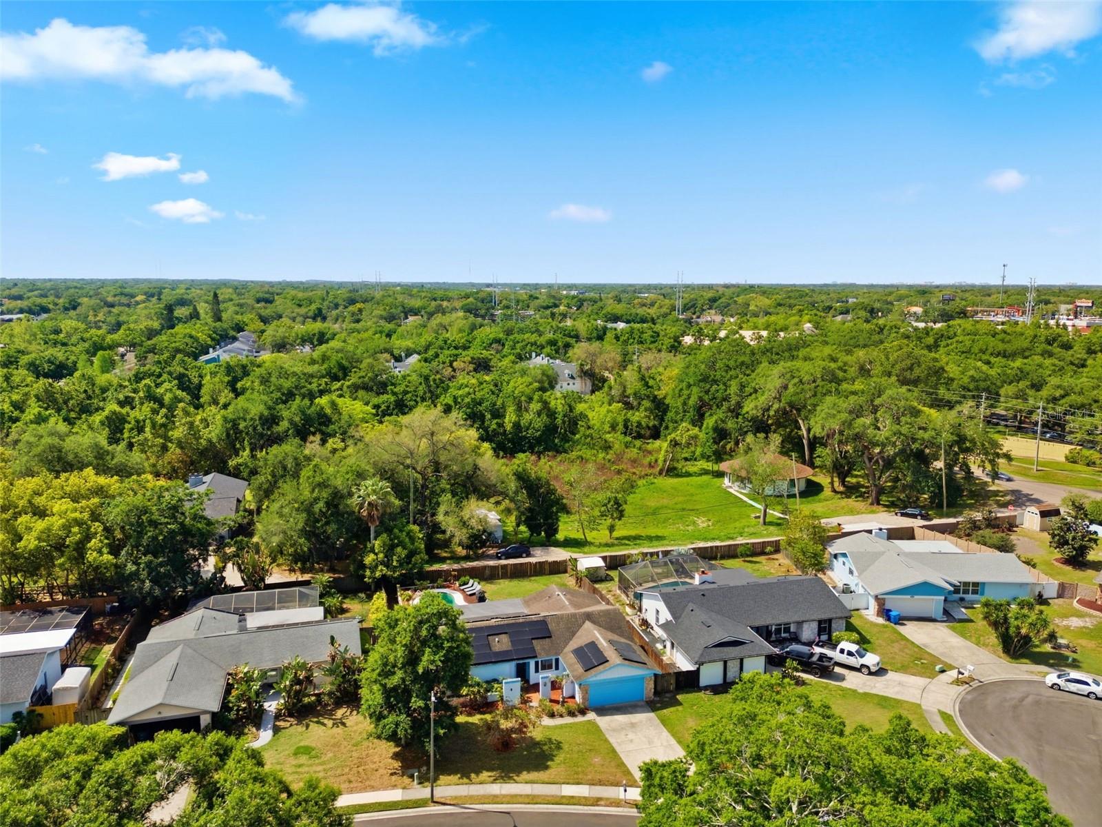2816 RUSTIC OAKS DR, PALM HARBOR, FL — photo 60
