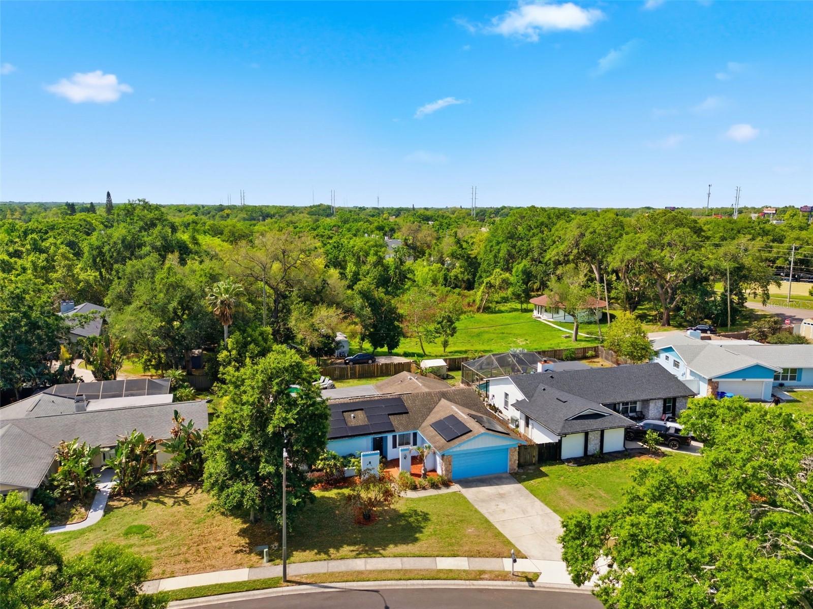 2816 RUSTIC OAKS DR, PALM HARBOR, FL — photo 61