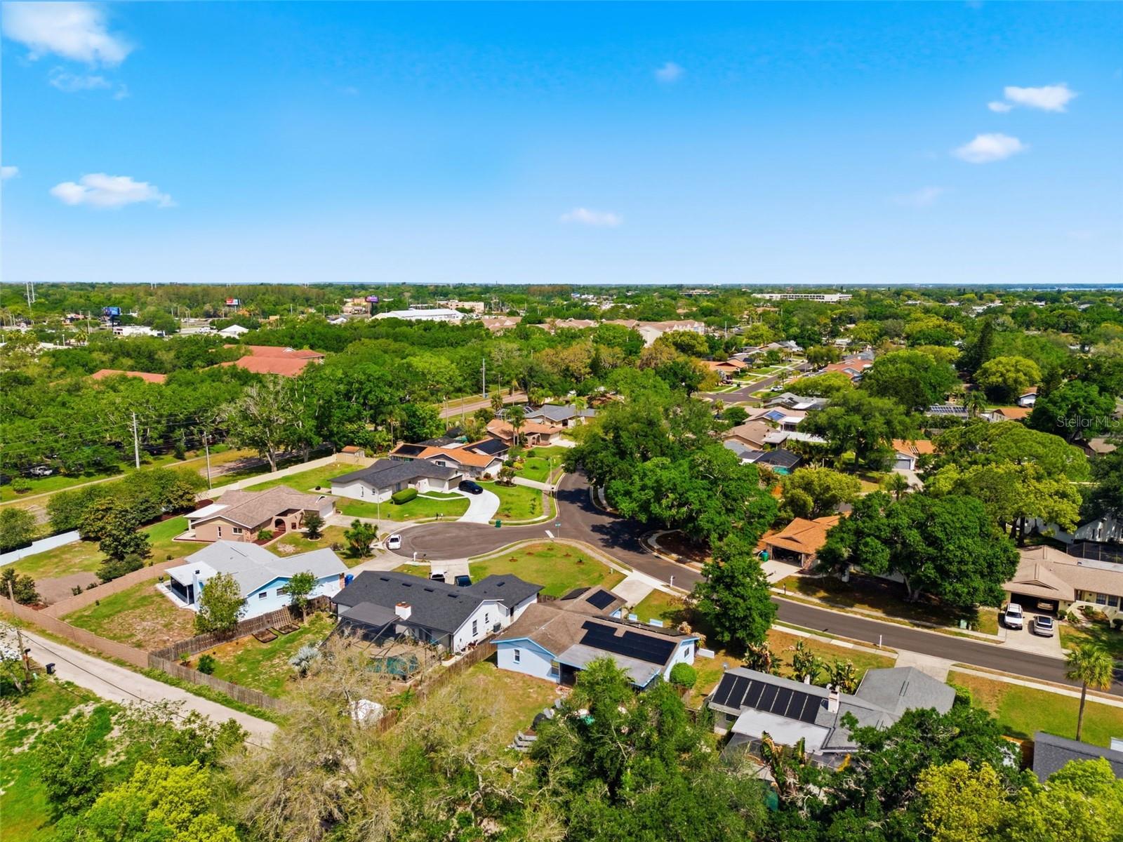 2816 RUSTIC OAKS DR, PALM HARBOR, FL — photo 63