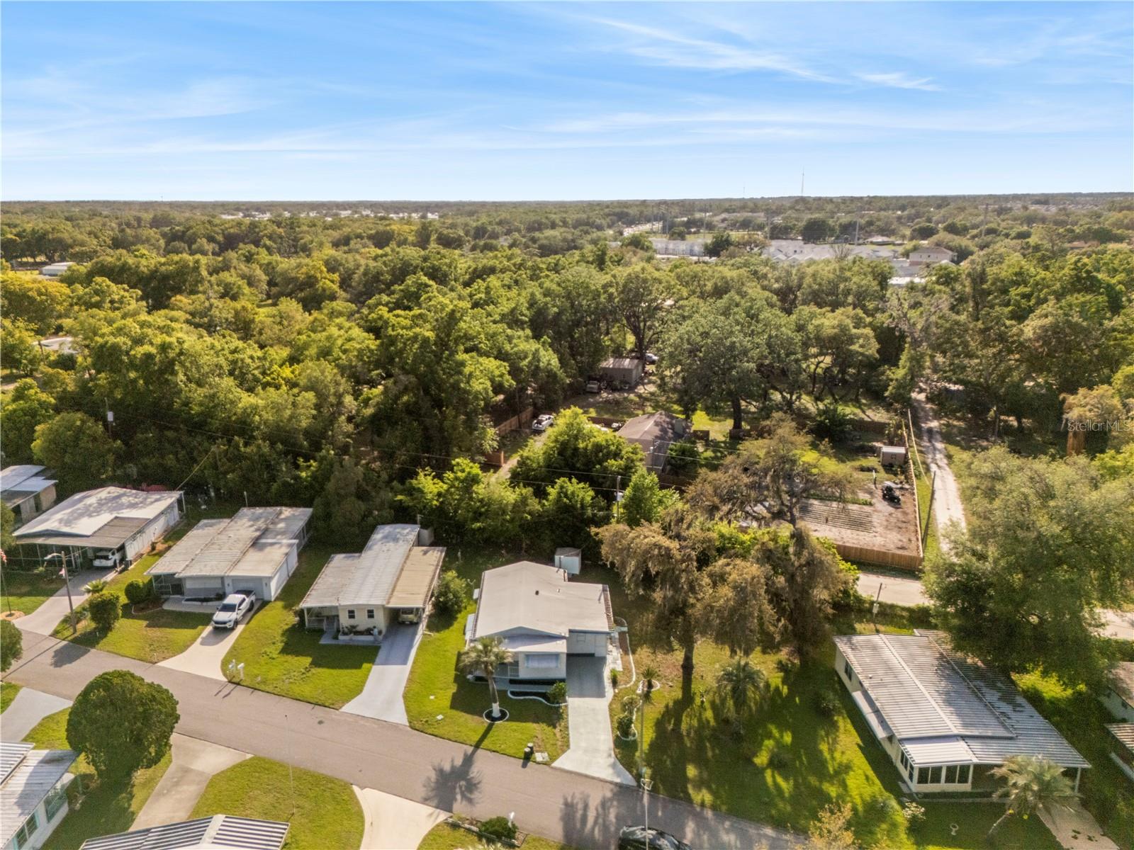 6123 RIDGEWOOD DR, ZEPHYRHILLS, FL — photo 45
