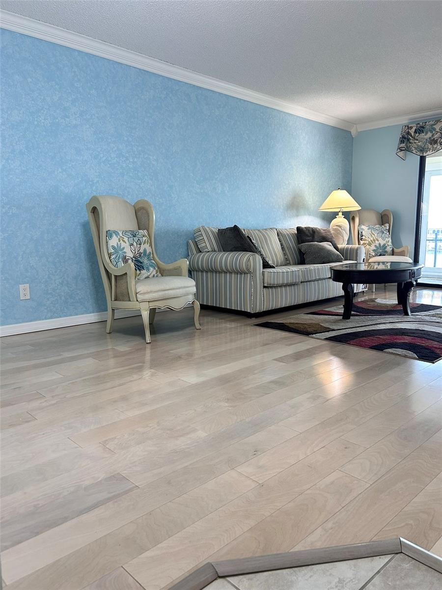 868 BAYWAY BLVD #304, CLEARWATER BEACH, FL — photo 11