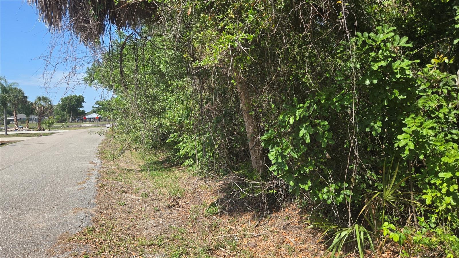 ROLLA RD, VENICE, FL — photo 2