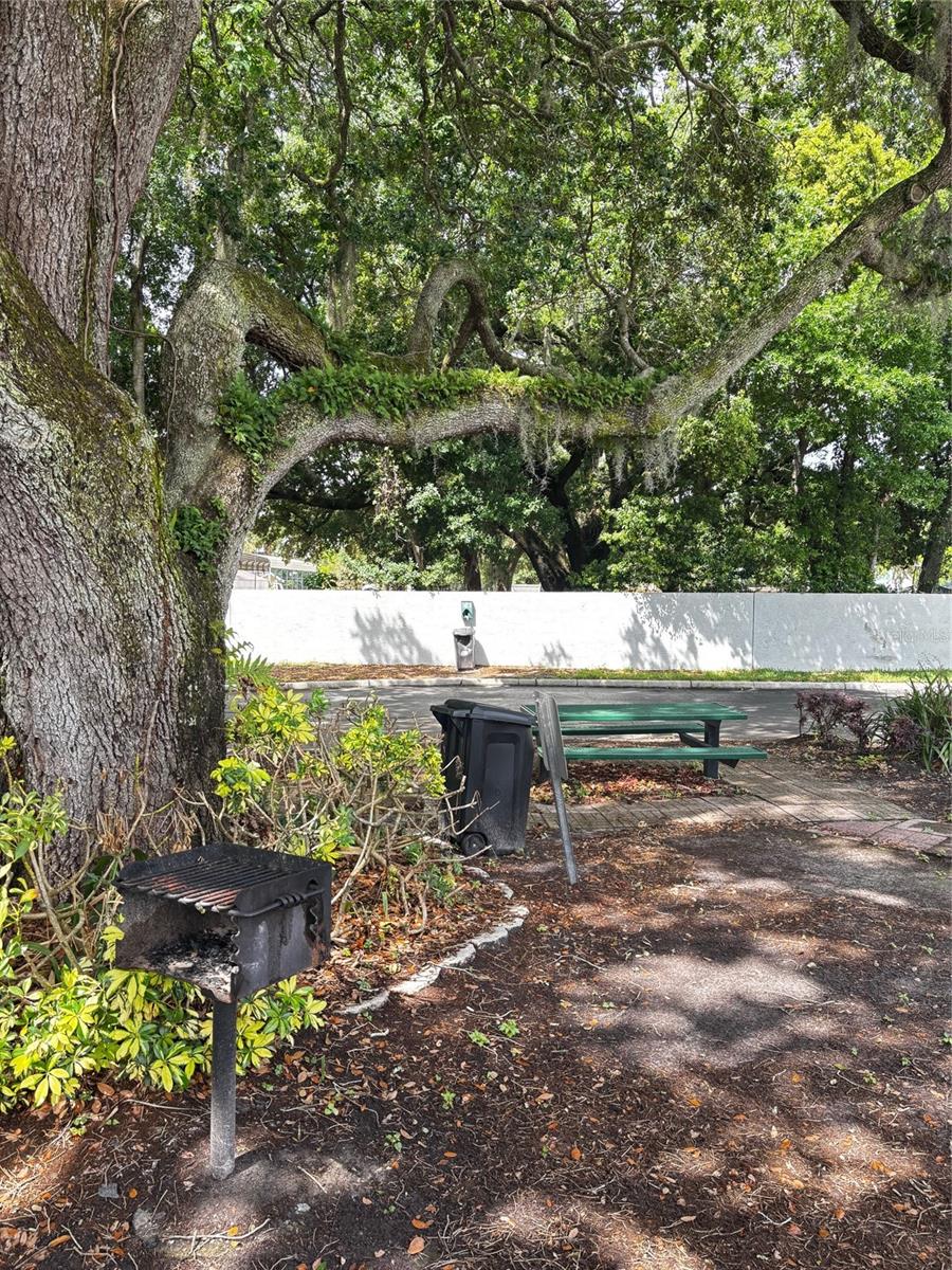 1615 COLUMBIA ARMS CIR #251, KISSIMMEE, FL — photo 21