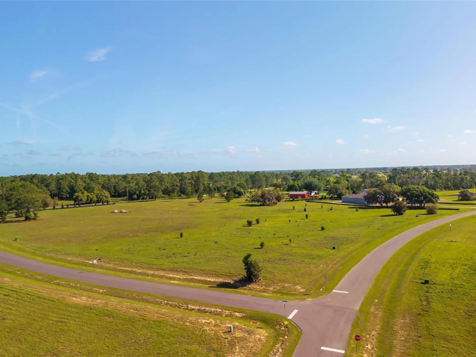 38529 WOODED MEADOW DR, UMATILLA, FL — photo 7