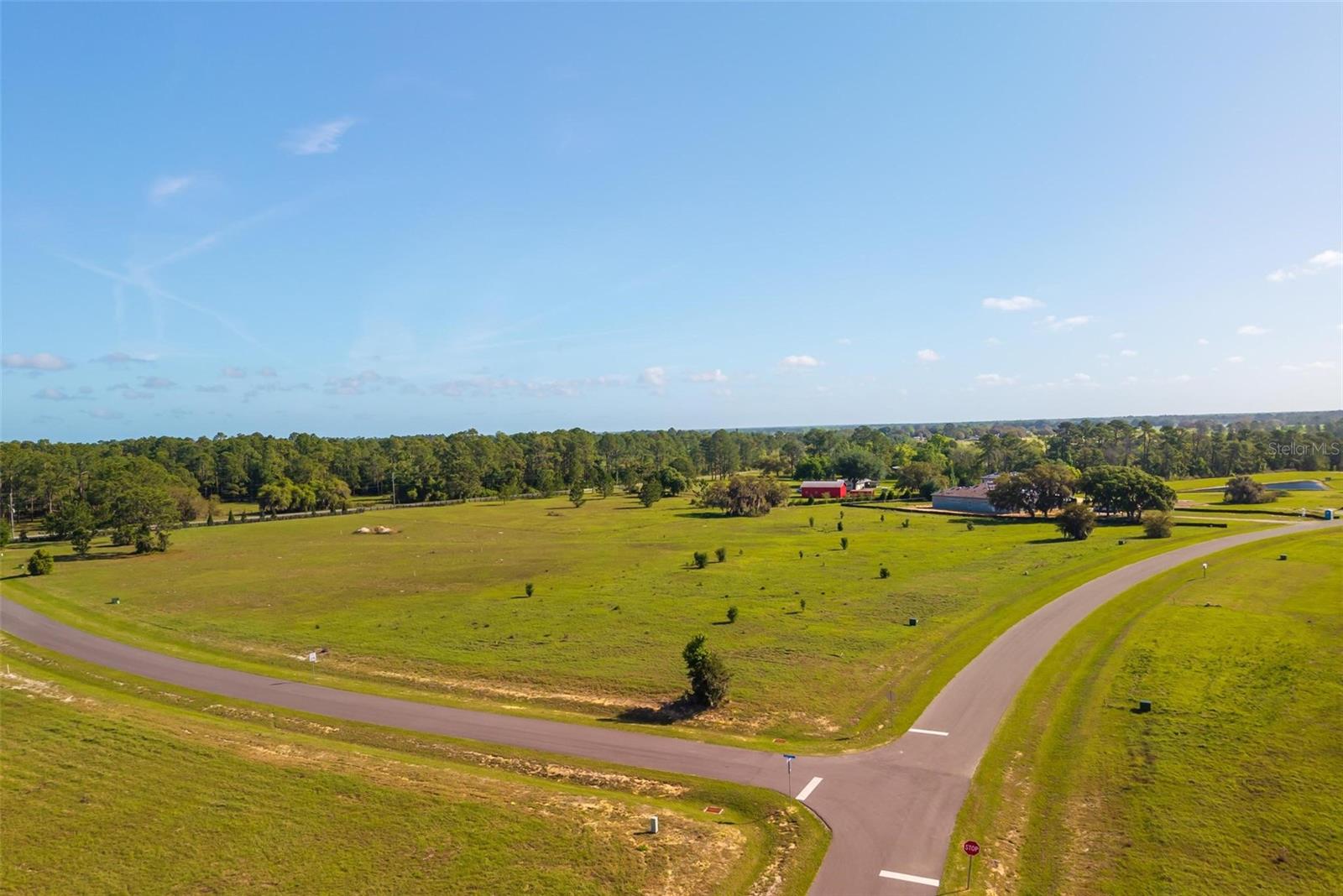 38529 WOODED MEADOW DR, UMATILLA, FL — photo 8