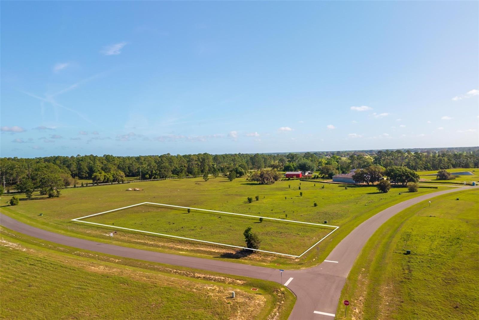 38529 WOODED MEADOW DR, UMATILLA, FL — photo 10