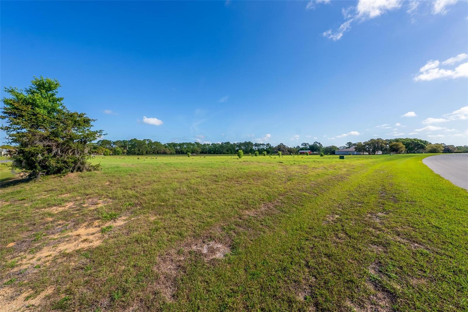 38529 WOODED MEADOW DR, UMATILLA, FL — photo 53