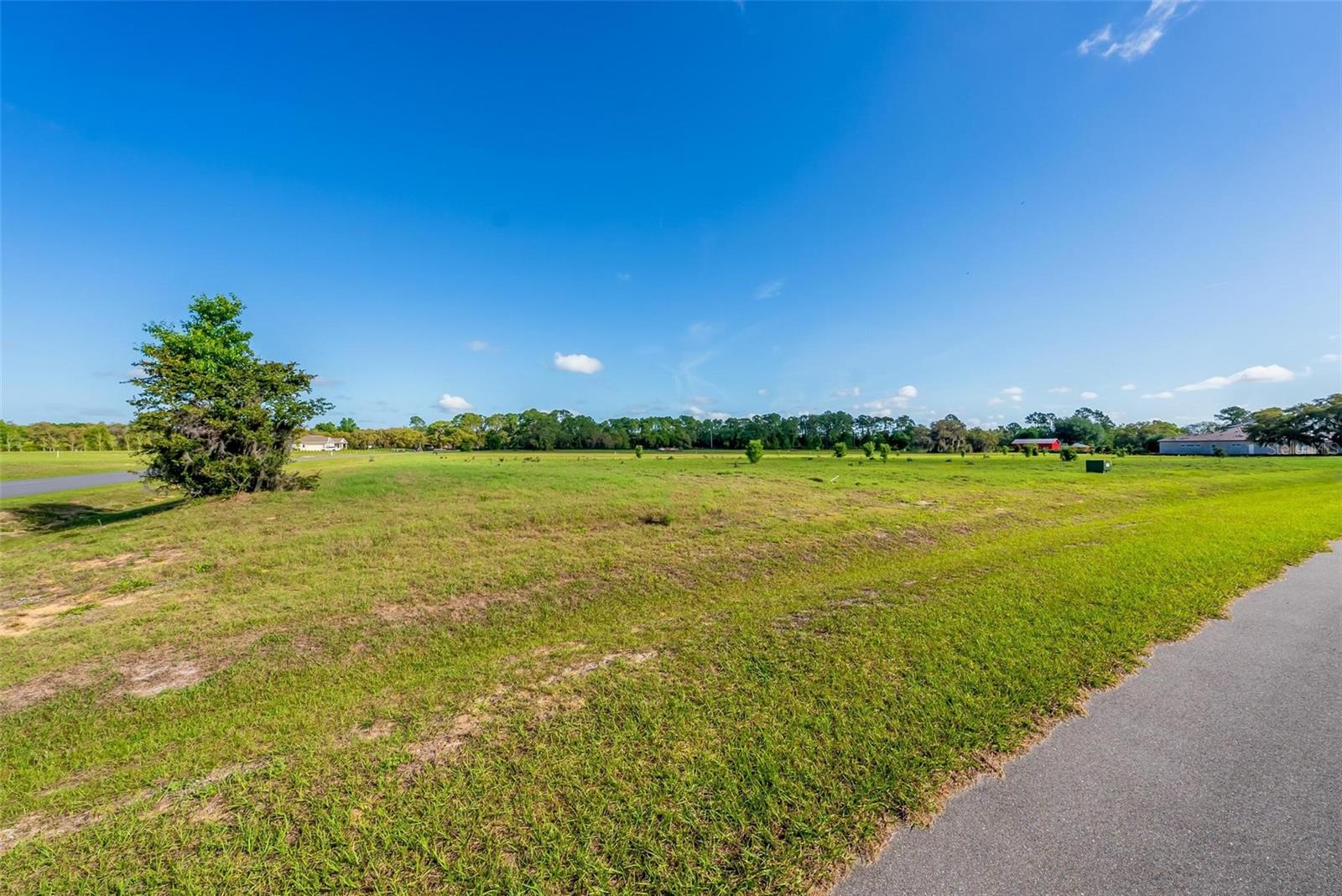 38529 WOODED MEADOW DR, UMATILLA, FL — photo 56