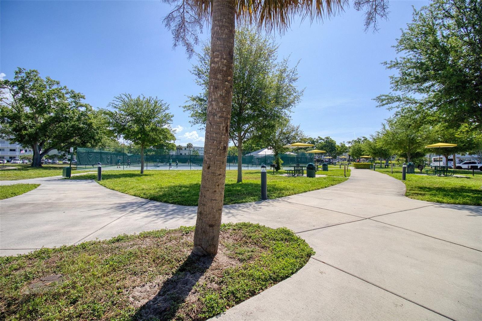 2450 CANADIAN WAY #26, CLEARWATER, FL — photo 33
