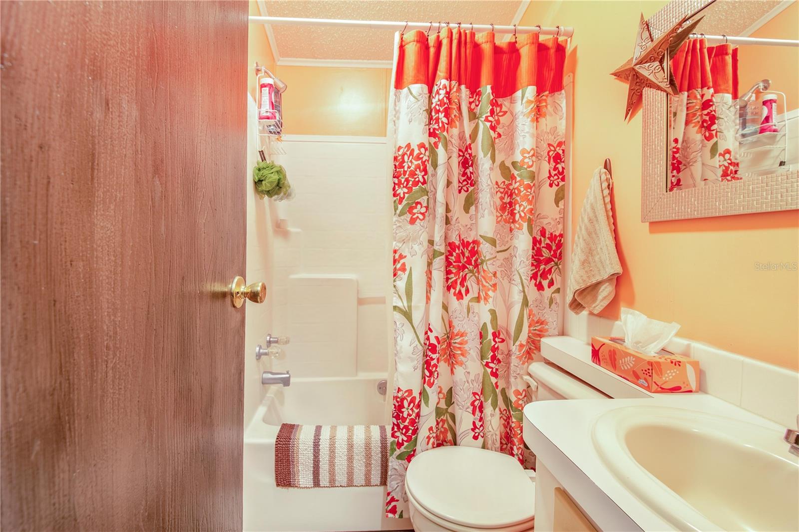 475 PINE LOOP, FROSTPROOF, FL — photo 12