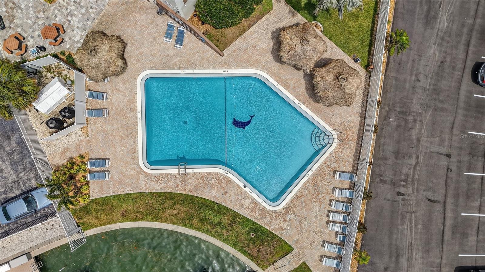255 DOLPHIN PT #211, CLEARWATER, FL — photo 8