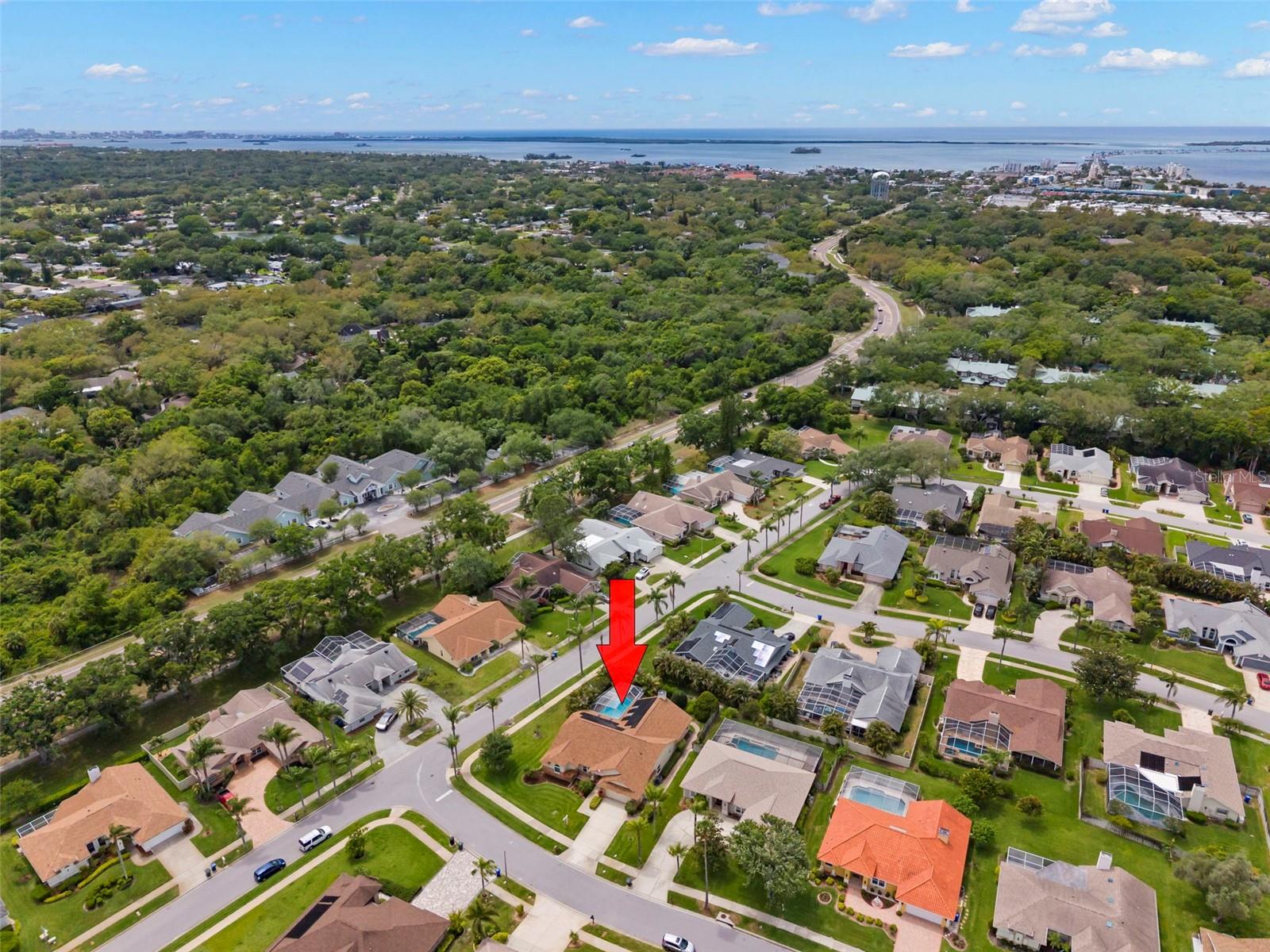 2686 SCOBEE DR, PALM HARBOR, FL — photo 47