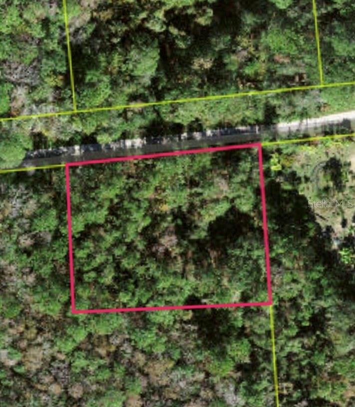 Lot 48 AMELIA TRL, KISSIMMEE, FL