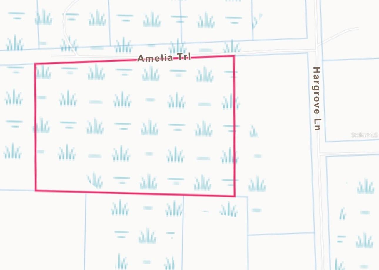 Lot 48 AMELIA TRL, KISSIMMEE, FL — photo 2