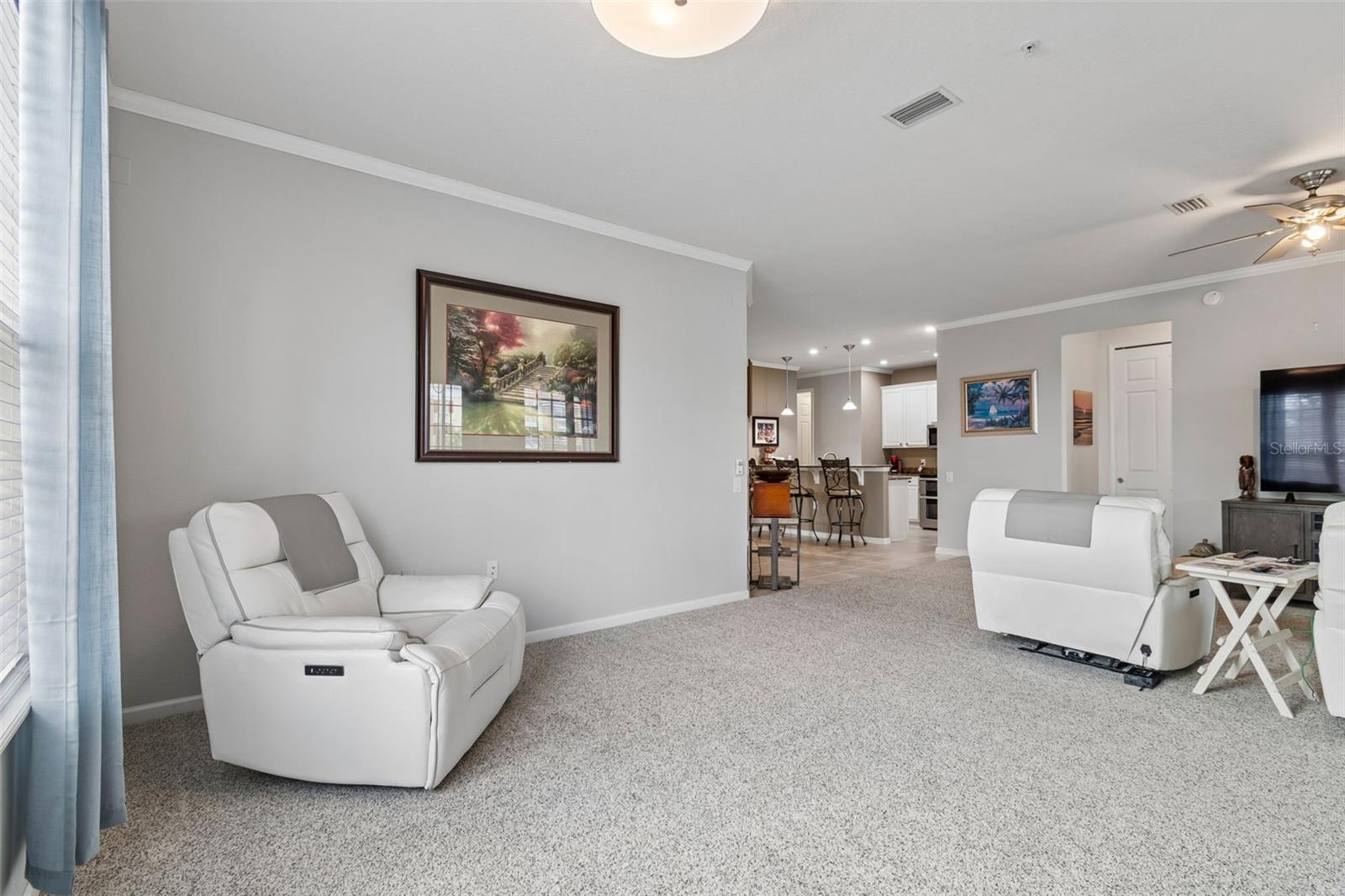 7903 SEMINOLE BLVD #2208, SEMINOLE, FL — photo 17
