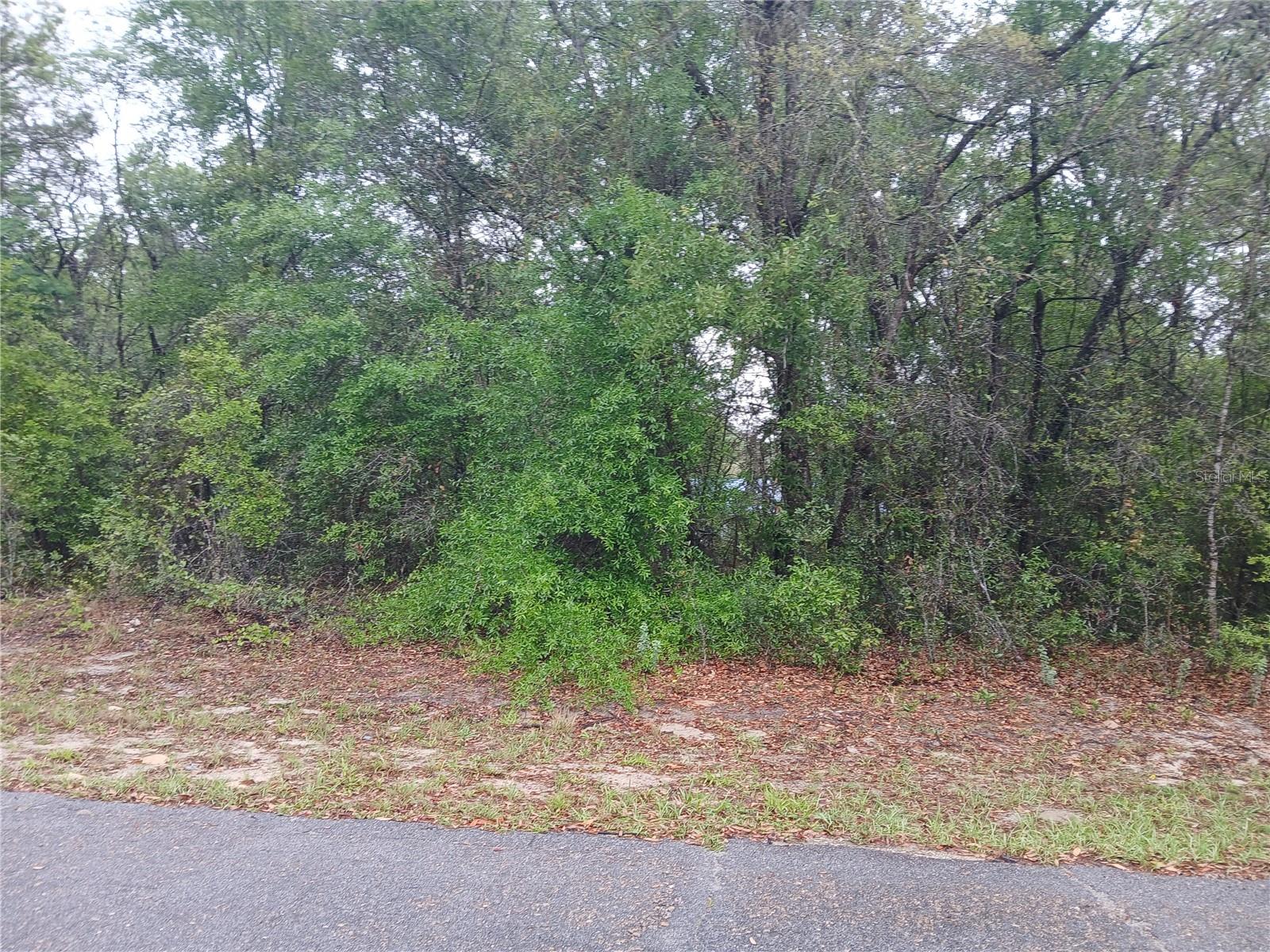 7851 N VINCE DR, CITRUS SPRINGS, FL
