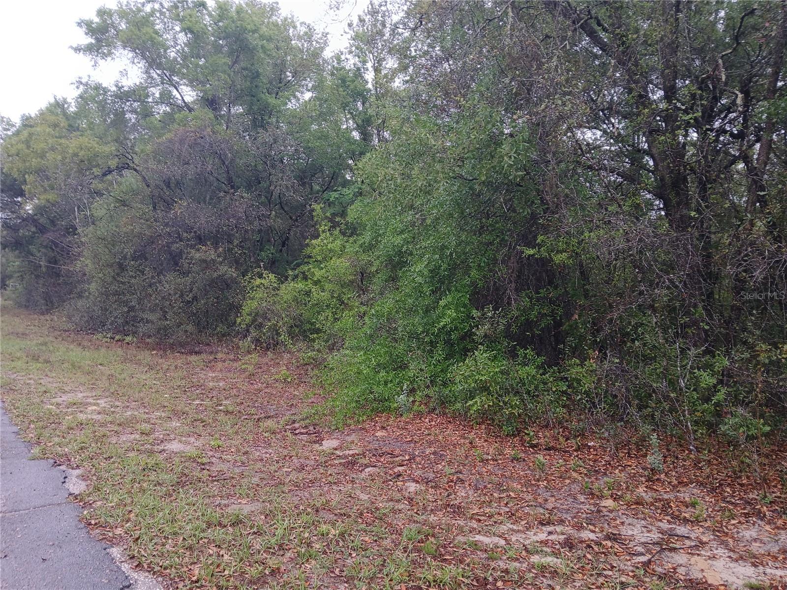 7851 N VINCE DR, CITRUS SPRINGS, FL — photo 2
