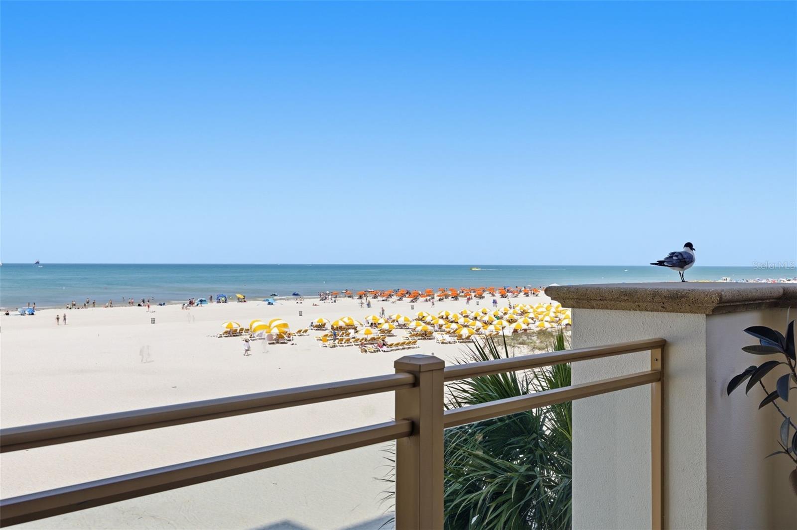 11 BAYMONT ST #302, CLEARWATER BEACH, FL — photo 43