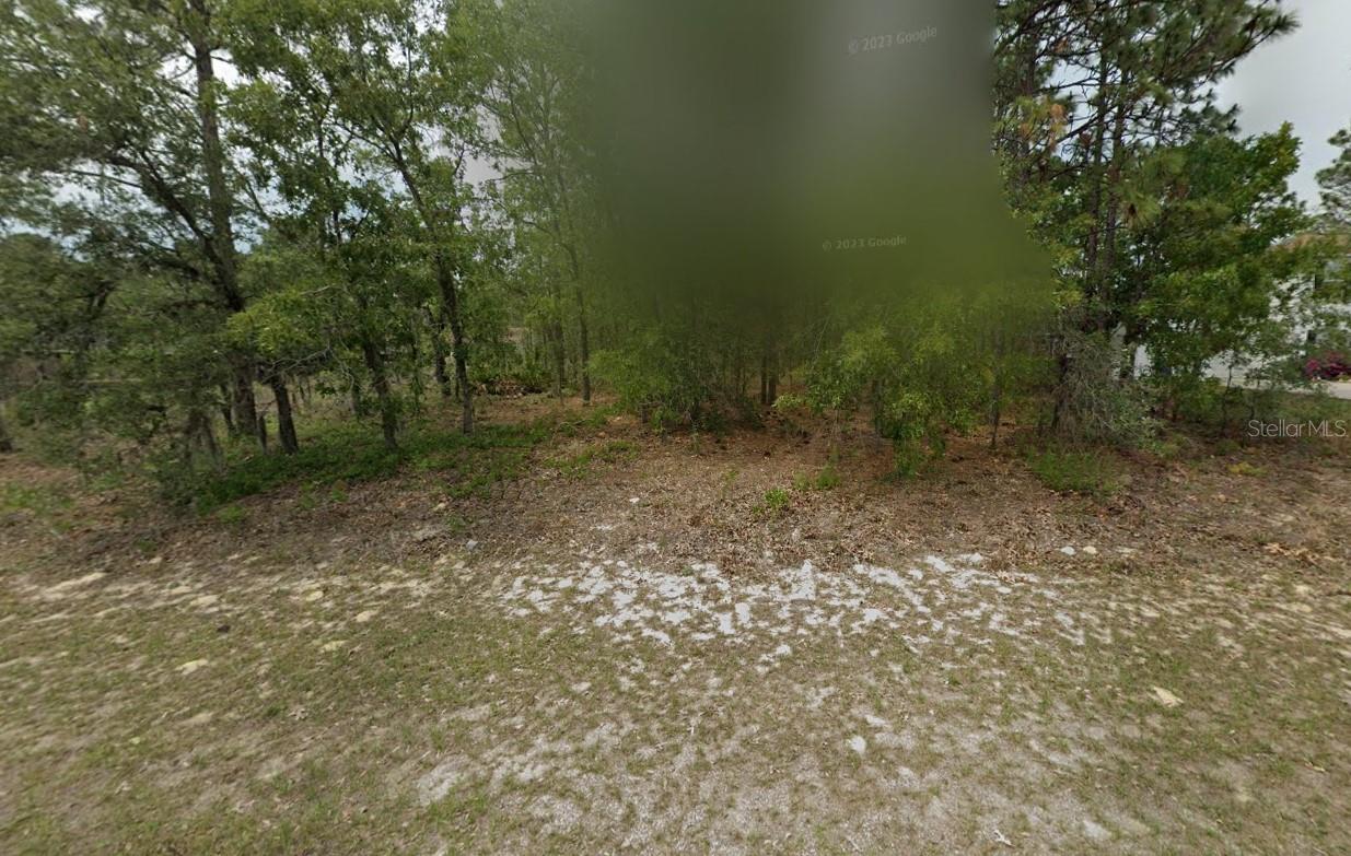 2065 W TACOMA DR, CITRUS SPRINGS, FL — photo 5